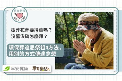 樹葬 風水|沒墓沒碑怎麼掃？花葬、樹葬這樣做 民俗專家曝環保葬關鍵